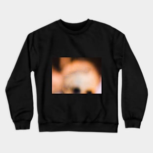 Fell EP Crewneck Sweatshirt